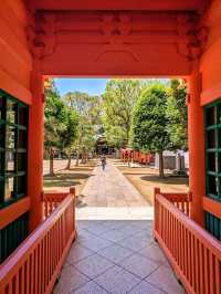 日本東京-早稻田周邊半日遊：村上春樹圖書館