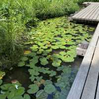 【Tokyo🇯🇵】多摩川台公園