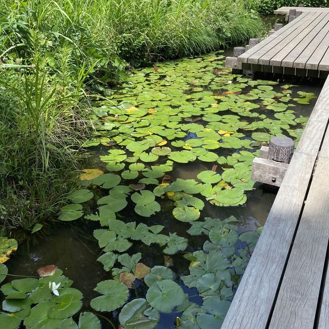 【Tokyo🇯🇵】多摩川台公園