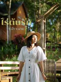 ฮีลใจที่บ้านต้นไม้ "ไร่ต้นรัก" อ.ปัว เมืองน่าน