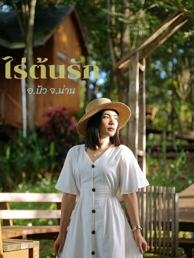 ฮีลใจที่บ้านต้นไม้ "ไร่ต้นรัก" อ.ปัว เมืองน่าน