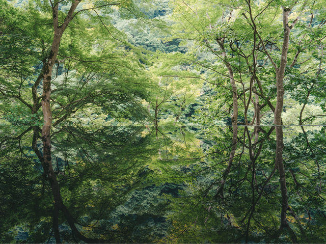 京都