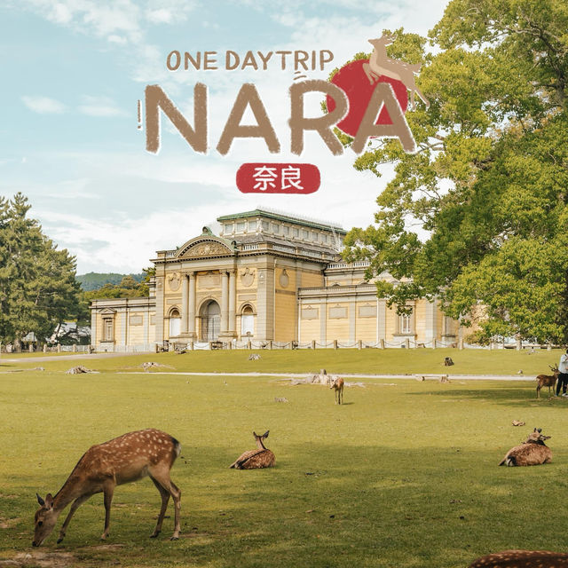 เที่ยวเมืองเก่าสุดชิค เดินเล่นกับน้องกวาง🦌