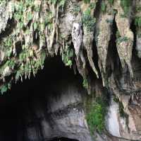Exploring the Wonders of Gua Mulu