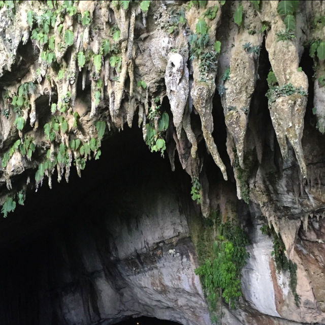 Exploring the Wonders of Gua Mulu