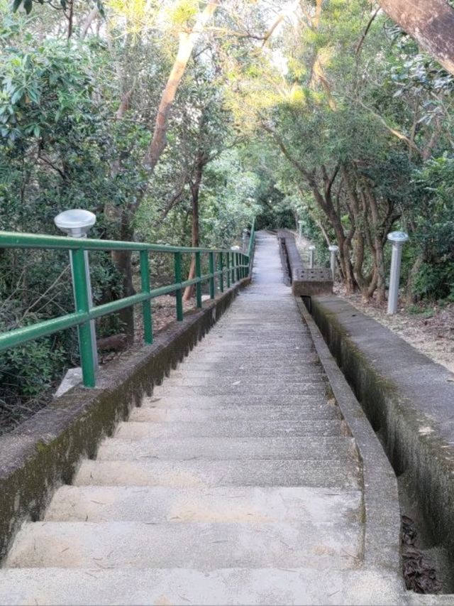 最佳數飛機地點- 觀景山