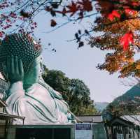 Fukuoka 