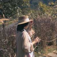 สวนคุณปู่ Life Museum - คาเฟ่ดอยผาหมี