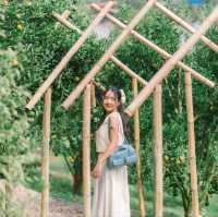 สวนของฉัน My garden 