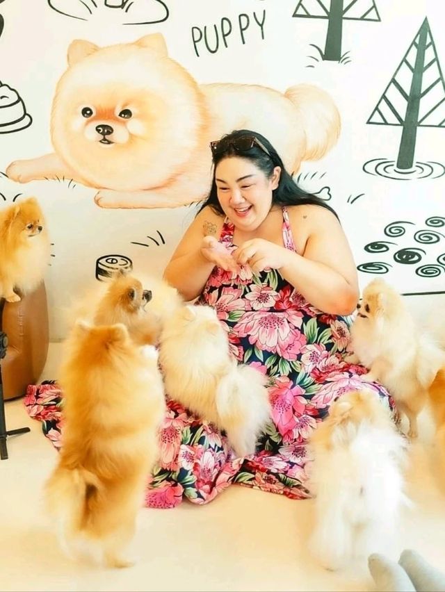 คาเฟ่หมาปอม ศาลายา Happy Pom Dog 