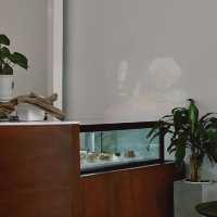 Matasecondfloor - Phuket