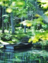 一度は行きたい京都の苔寺🌿西芳寺🌿