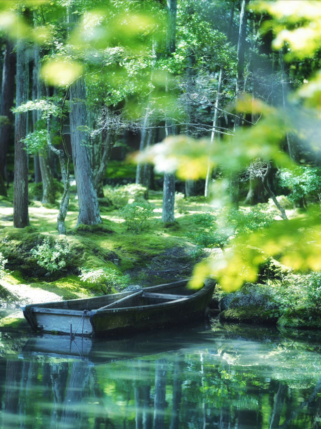 一度は行きたい京都の苔寺🌿西芳寺🌿