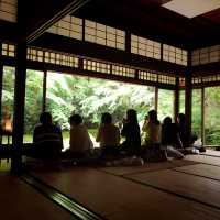 【🇯🇵京都】🍁息を呑む美しいリフレクション