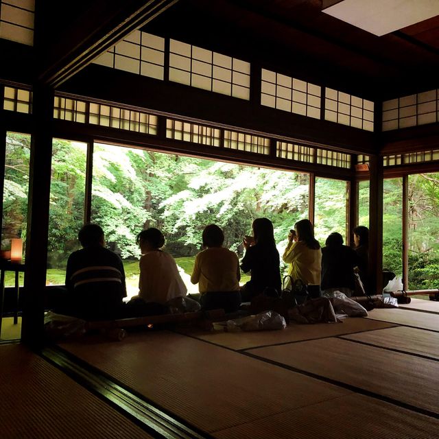【🇯🇵京都】🍁息を呑む美しいリフレクション