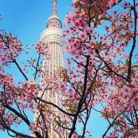 東京地標