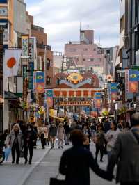 「巢鴨商店街：老奶奶的原宿，隱世寶藏商業街！」