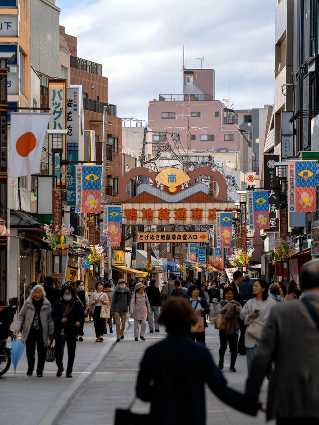 「巢鴨商店街：老奶奶的原宿，隱世寶藏商業街！」