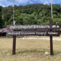 หมู่เกาะสุรินทร์ ดำน้ำฟินมากก 