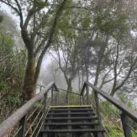 Alishan...อาหลีซาน ธรรมชาติไต้หวัน