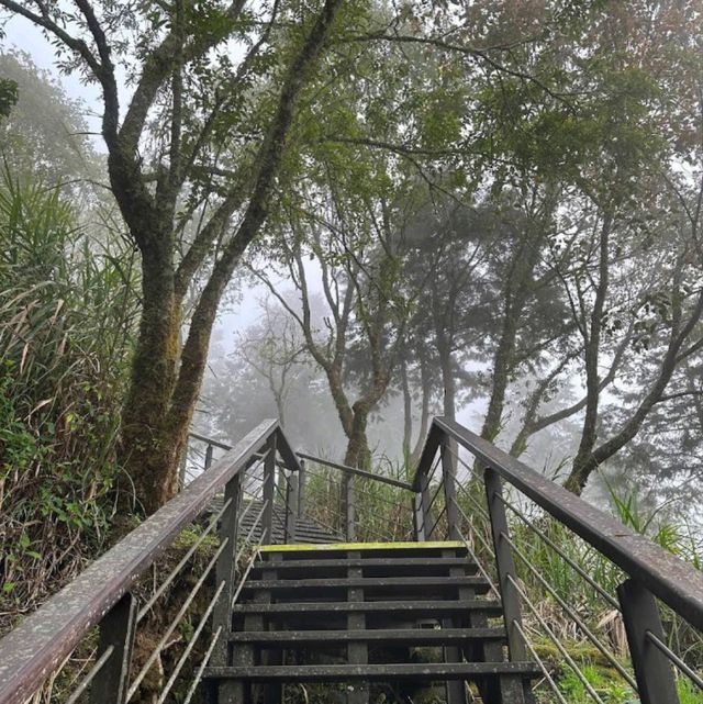 Alishan...อาหลีซาน ธรรมชาติไต้หวัน