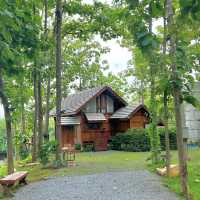  RAYY CAFE (เรย์ คาเฟ่)