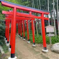香川・丸亀『中津万象園・丸亀美術館』✨