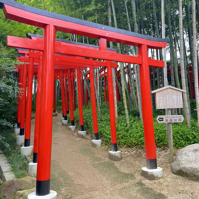 香川・丸亀『中津万象園・丸亀美術館』✨