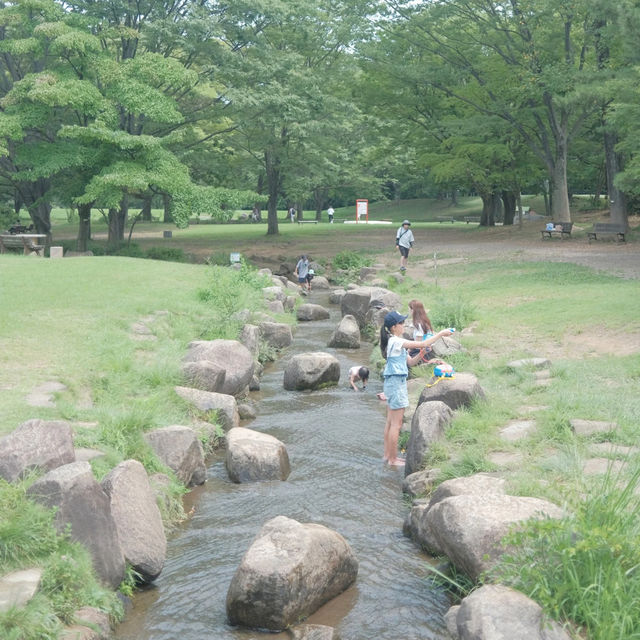 【埼玉】飛行機好き必見✈️「所沢航空記念公園」
