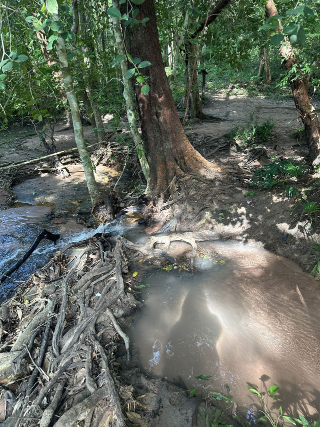 พิกัดเดินป่า ทางเข้าไปชมน้ำตก อุทยานภูผายล สกลนคร