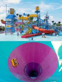 《水上樂園》【浙江安吉】亞洲最大水上樂園，提前購票！