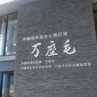 沖繩景點｜恩納經典必拍巨大象鼻岩—沖繩恩納萬座毛