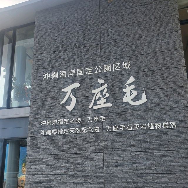 沖繩景點｜恩納經典必拍巨大象鼻岩—沖繩恩納萬座毛