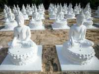 วัดบุ่งขี้เหล็ก ลานพระขาว 