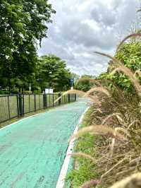 ชื่อ“สวนรถไฟ” แต่มีไว้สำหรับปั่นรถจักรยาน 🚴‍♀️