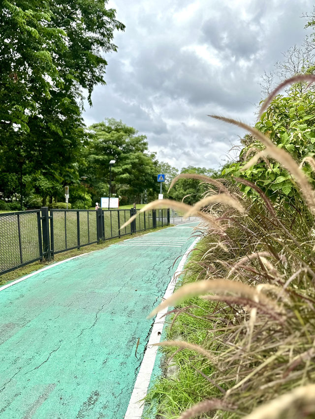 ชื่อ“สวนรถไฟ” แต่มีไว้สำหรับปั่นรถจักรยาน 🚴‍♀️