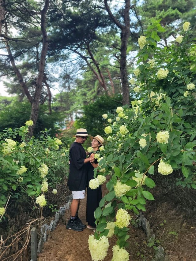 여름꽃 즐기며 산책하기좋은 장성 루몽드수목원💚