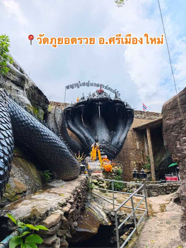 📍วัดภูยอดรวย อ.ศรีเมืองใหม่
