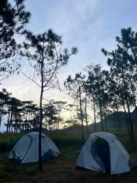 ภูสอยดาว เต็นท์แคมป์นี้…มีดีตอนค่ำคืน! ⛺️