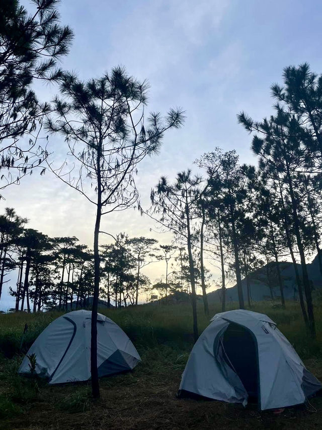 ภูสอยดาว เต็นท์แคมป์นี้…มีดีตอนค่ำคืน! ⛺️