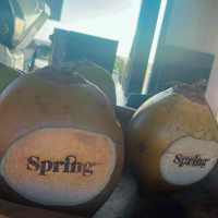 【バリ島🇮🇩スミニャック】Spring Spa🩵