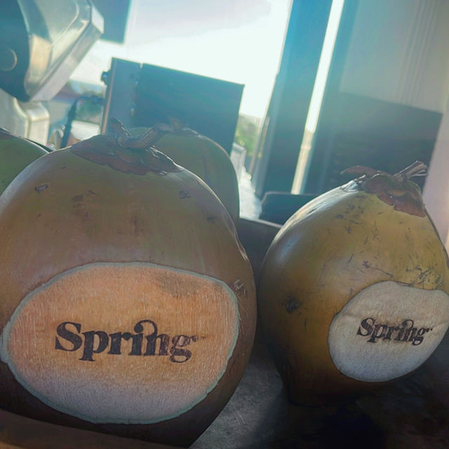【バリ島🇮🇩スミニャック】Spring Spa🩵