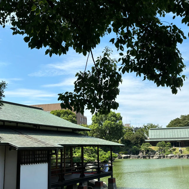 「寶幢院」綠意盎然的日式庭園，品味悠閒時光