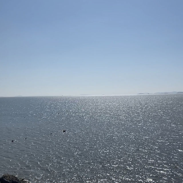 드라이브 코스 추천 영광백수해안도로🌊