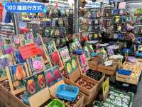 荷蘭阿姆斯特丹-辛格運河上的水上花市：Bloemen Market