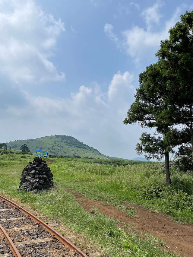 🚞제주 레일바이크 여행 