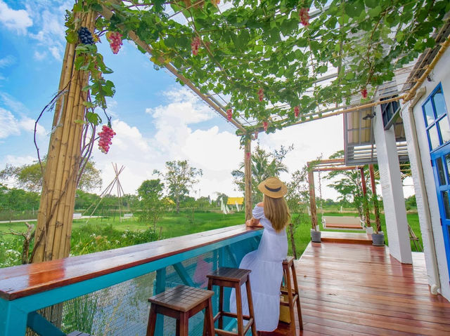 คาเฟ่นครนายกวิวทุ่งนา