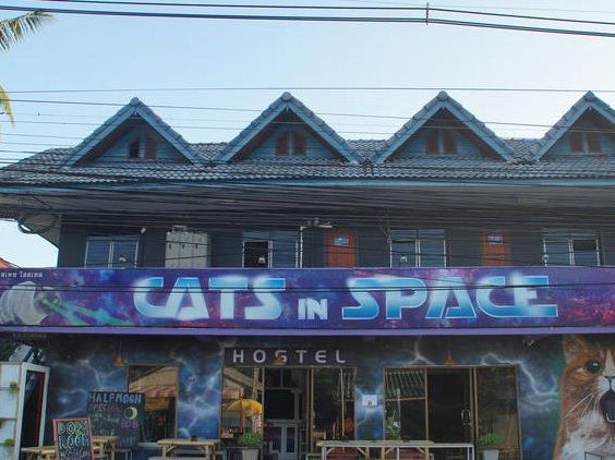 Cat In Space Hostel