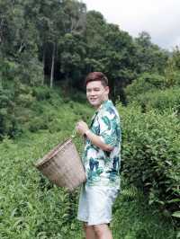 ทริปฮีลใจ 🌱 ไร่ชาลุงเดช อ.แม่แตง จ.เชียงใหม่