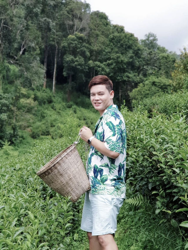 ทริปฮีลใจ 🌱 ไร่ชาลุงเดช อ.แม่แตง จ.เชียงใหม่